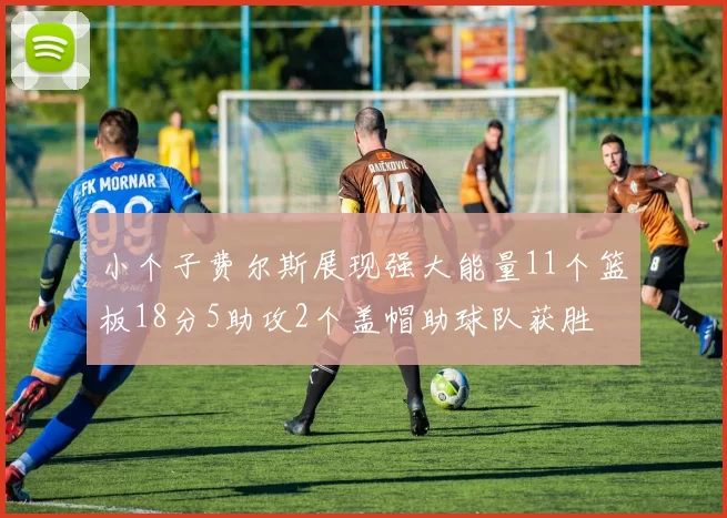 小个子费尔斯展现强大能量11个篮板18分5助攻2个盖帽助球队获胜