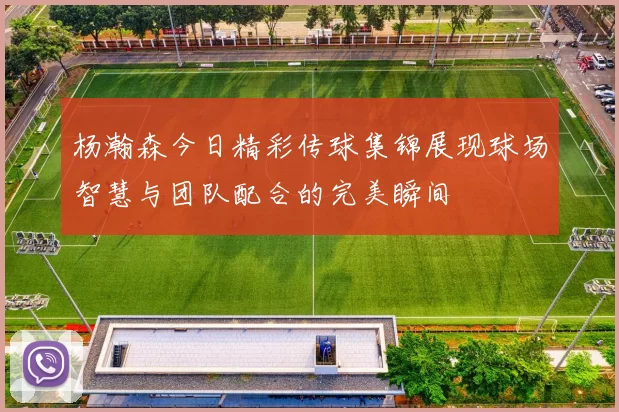 杨瀚森今日精彩传球集锦展现球场智慧与团队配合的完美瞬间